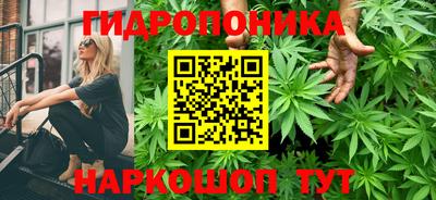 ECSTASY Гусев