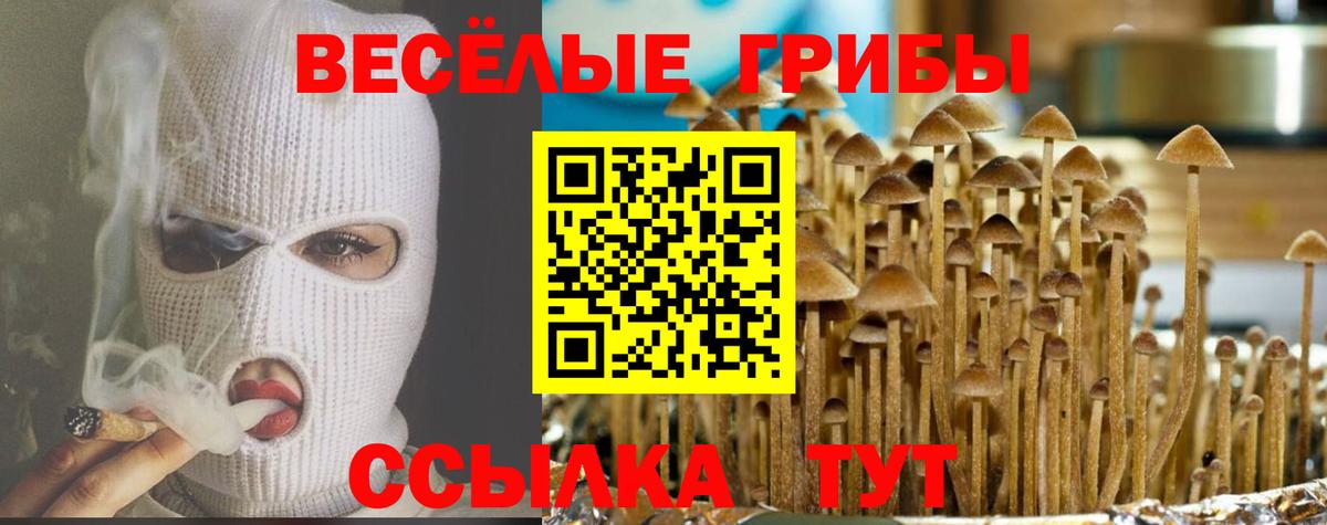 Галлюциногенные грибы Magic Shrooms Луховицы