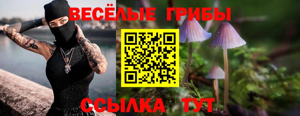 Луховицы  Галлюциногенные грибы GOLDEN TEACHER  Вход с VPN 